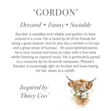 Load image into Gallery viewer, Gordon Junior the Highland Cow Soft Toy
