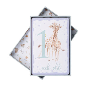 Baby Animal Milestone Cards by Wrendale Designs