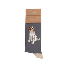 Load image into Gallery viewer, Mens Spaniel Super Soft Bamboo Socks by Wrendale Designs
