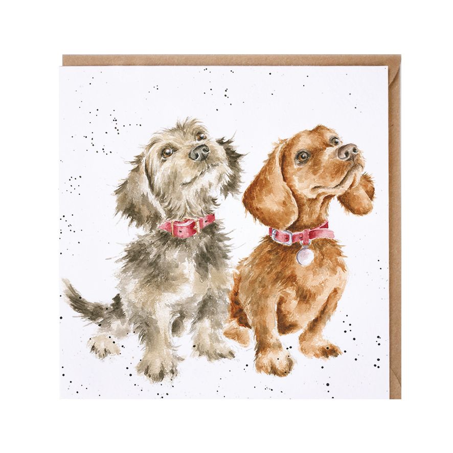 Daschund Blank Card by Wrendale Designs