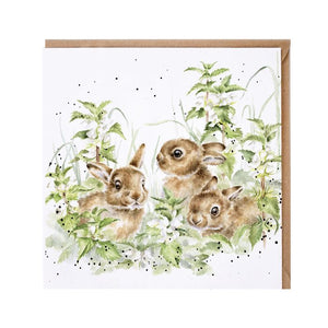 Spring Hares Blank Card by Wrendale