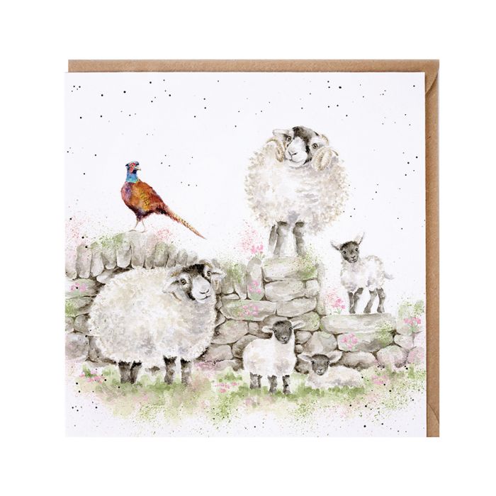 Sheep Card by Wrendale Designs