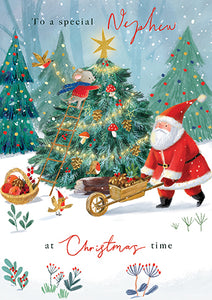 Nephew Christmas Card