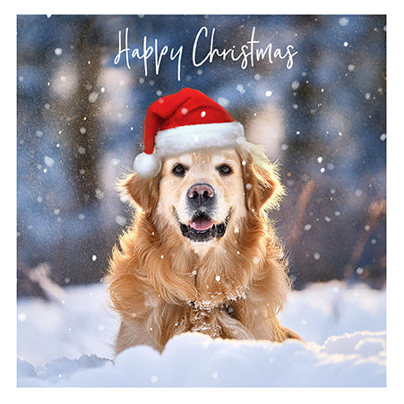 Retriever Dog Christmas Card