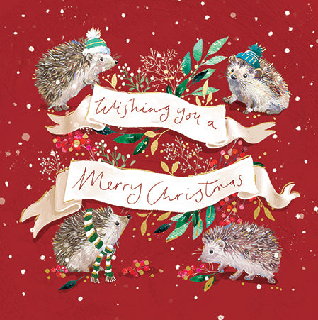 Hedgehog Christmas Card