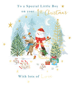 Special Little Boy 1st Christmas Card