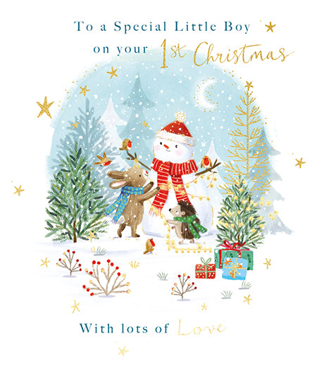 Special Little Boy 1st Christmas Card