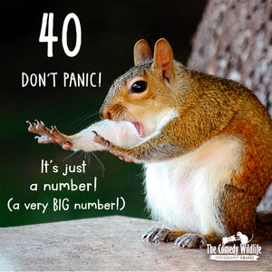 Comedy Wildlife Photography Awards 40th Birthday Card