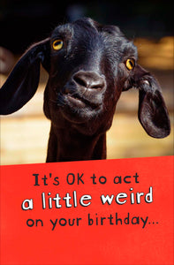 A Little Weird, Goat Birthday Card