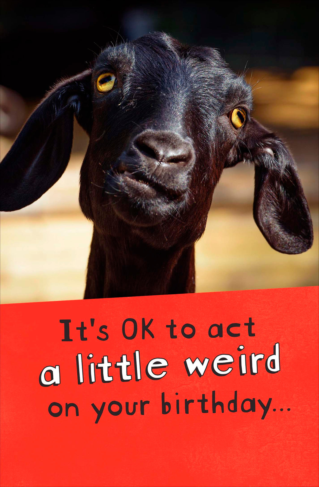 A Little Weird, Goat Birthday Card