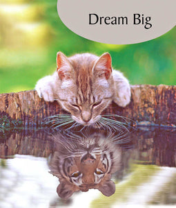 Tabby Cat & Tiger Dream Big Blank Card