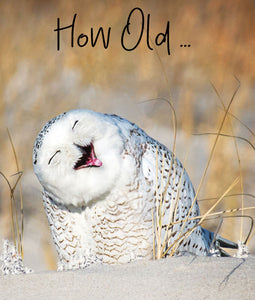 How Old… Laughing Owl Birthday Card