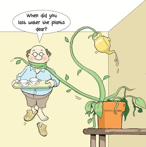 Watering The Plants Blank Card