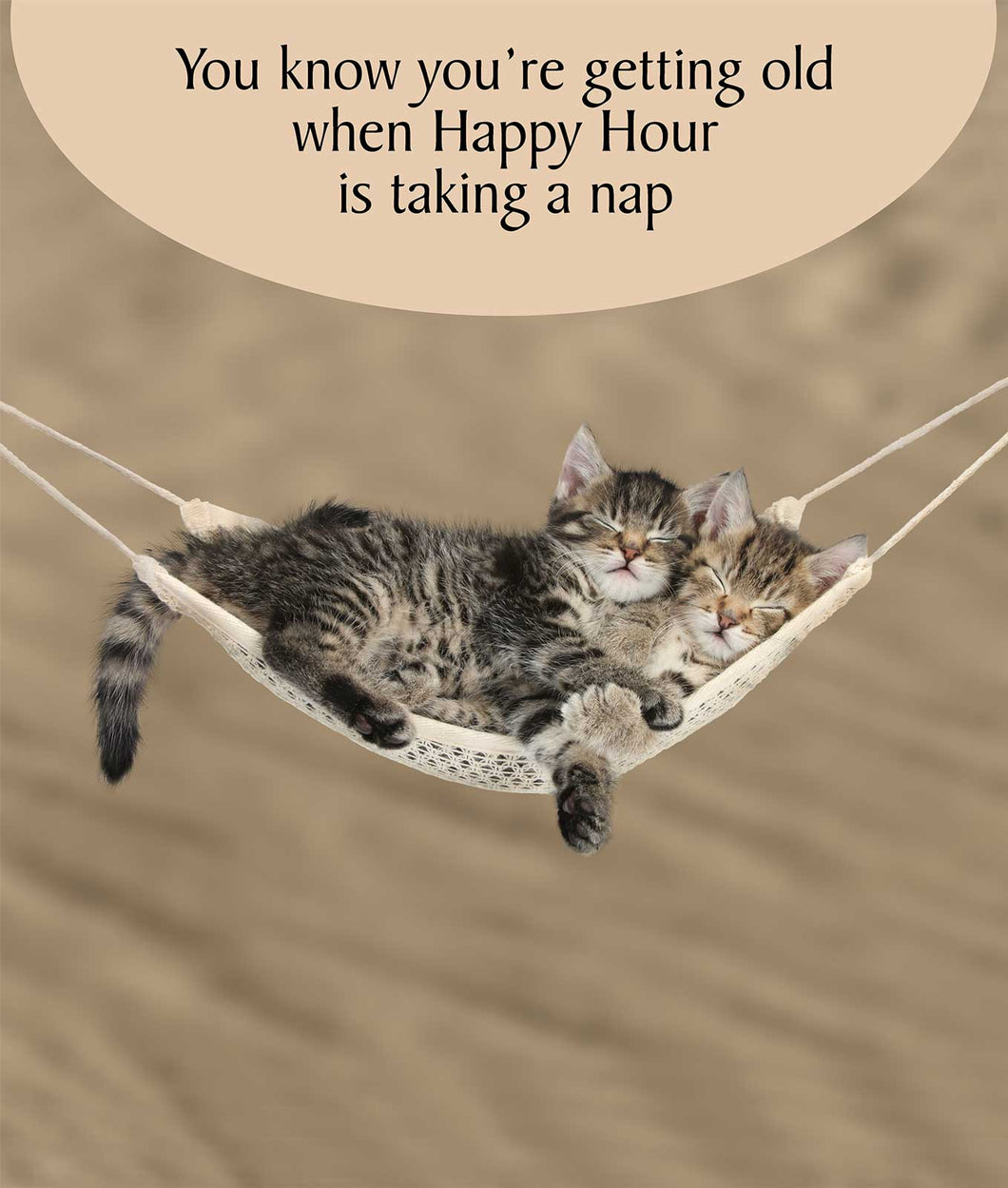 Kittens In A Hammock/ Happy Hour/ Napping Blank Card