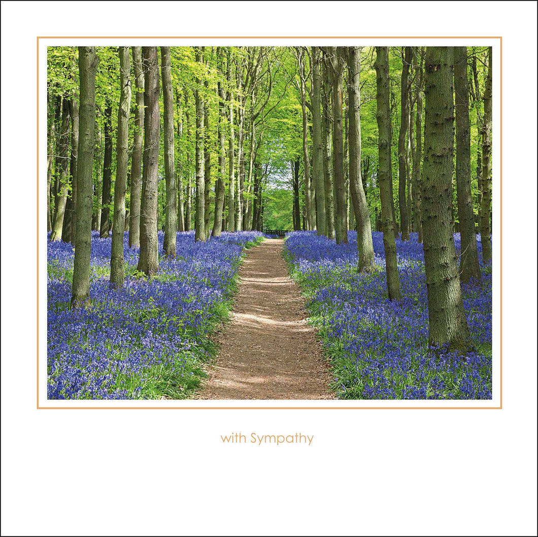 Bluebell Woods Sympathy Card