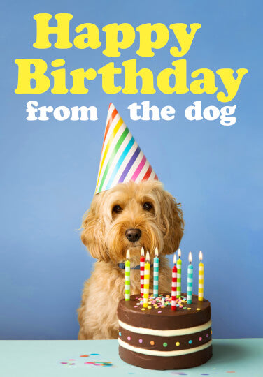 From The Dog Birthday Card