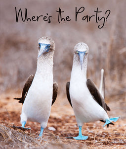 Blue-Footed Booby/ Where’s The Party Blank Card