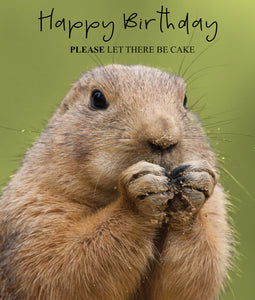 Let There Be Cake… Prairie Dog Birthday Card