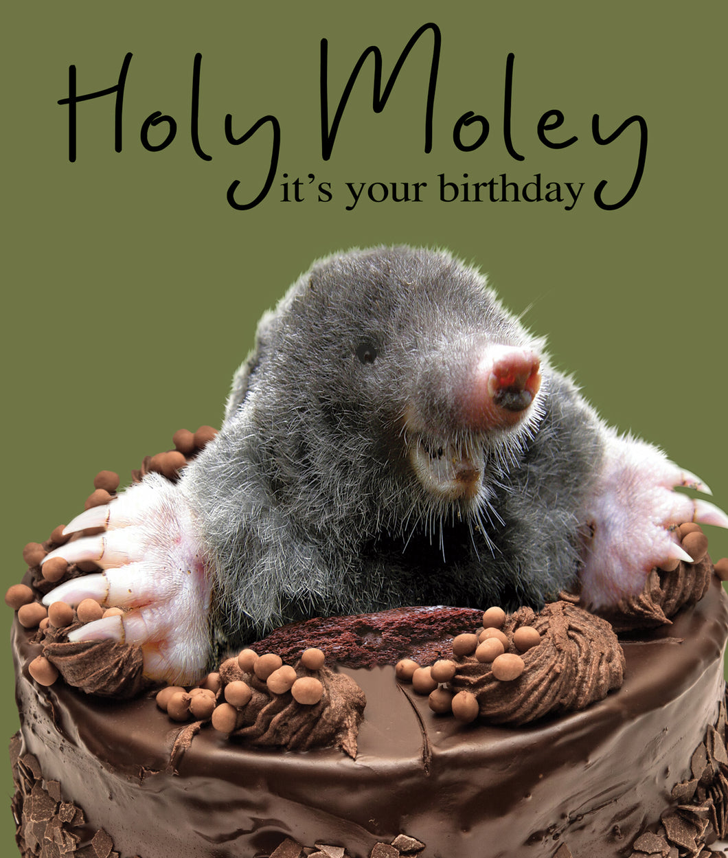 Holy Moley … Mole Birthday Card