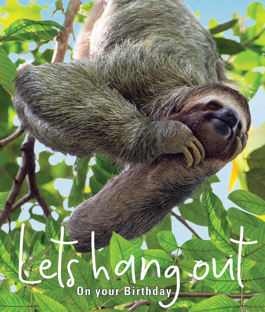 Let’s Hang Out …. Sloth Birthday Card