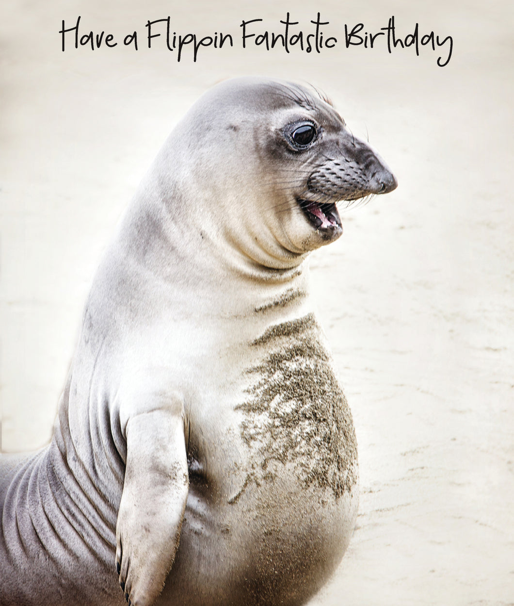 Flippin Fantastic.. Seal Birthday Card