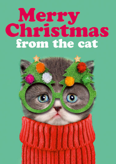 Merry Christmas From The Cat Card