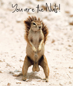 You’re The Nuts….. Squirrel Blank Card