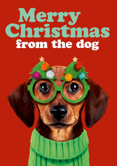 Merry Christmas From The Dog Card