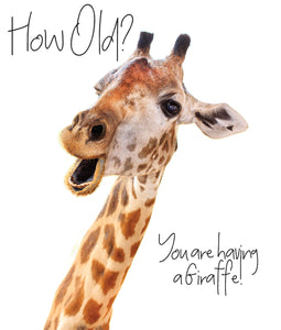 You’re Having A Giraffe….. Giraffes Birthday Card