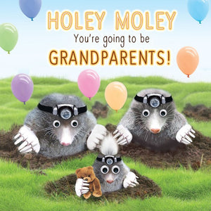 New Grandparents Card