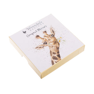 Giraffe Compact Mirror