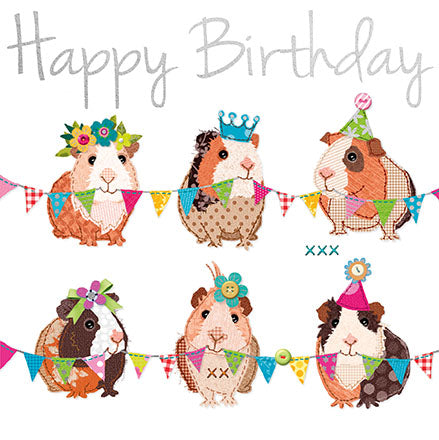 Guinea Pigs Birthday Card