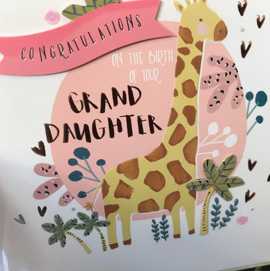 Giraffe Granddaughter Congratulations Card