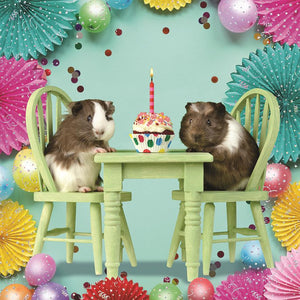 Guinea pig Birthday Card