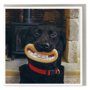 Smiling Black Dog Blank Card