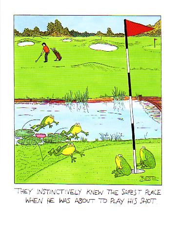 Golf / Frog Humour Blank Card