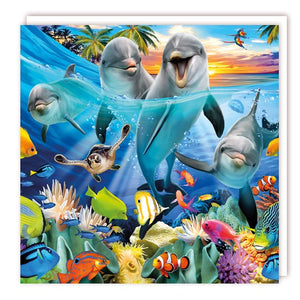 Dolphin Sea Life Card