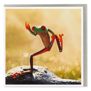 Dancing Tree Frog Blank Card