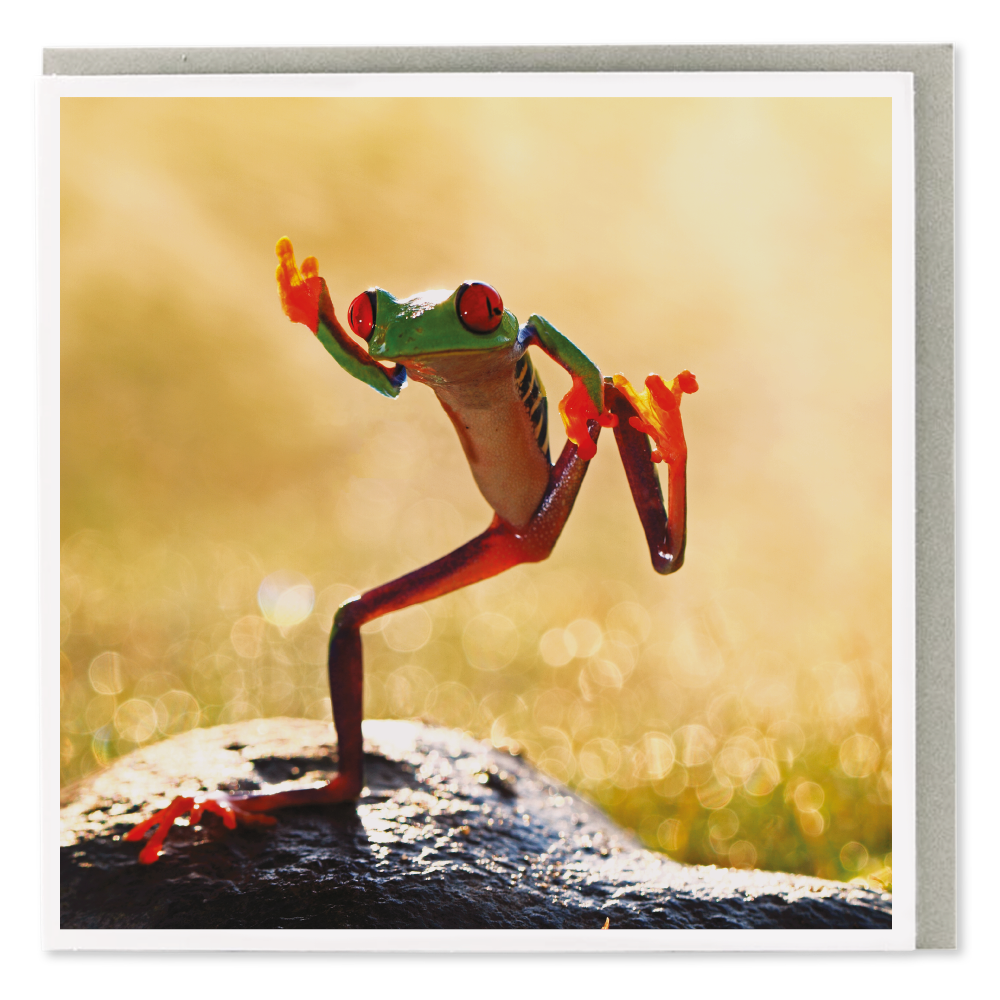 Dancing Tree Frog Blank Card