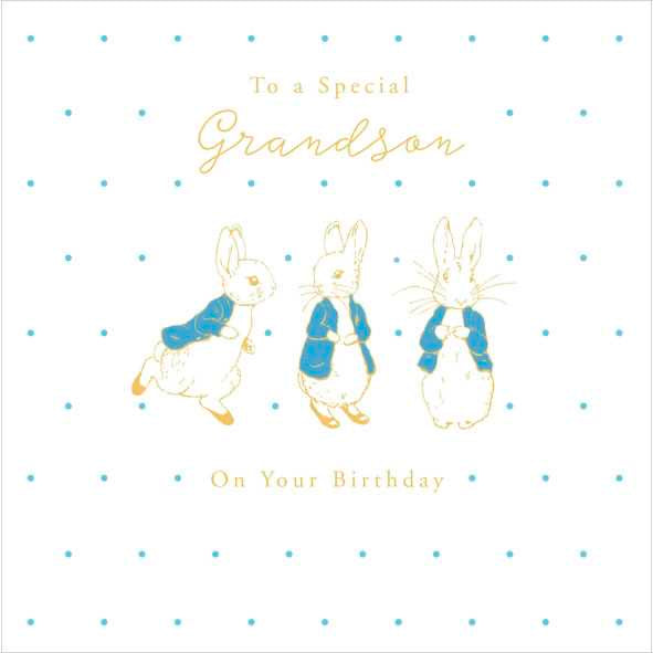 Grandson Birthday Card