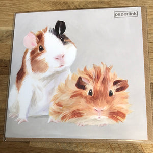 Guinea Pig Blank Card