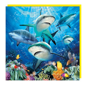 Shark 3D Blank Card