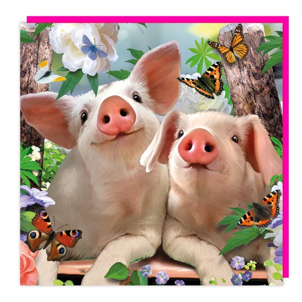 Pig Lenticular 3D Blank Card