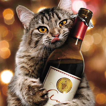 Cat with Red Wine Blank Card