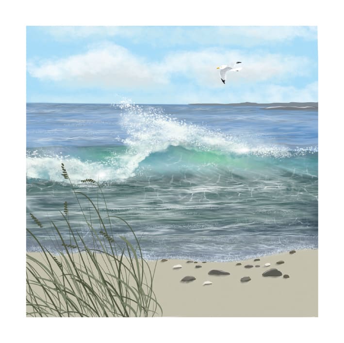 Seagull at High Tide Card