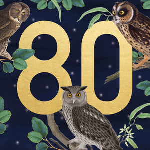 80th Owl Birthday Card