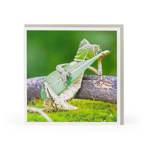 Jungle Jamming Chameleon Blank Card