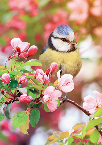 Medici Titmouse In Cherry Blossom Card