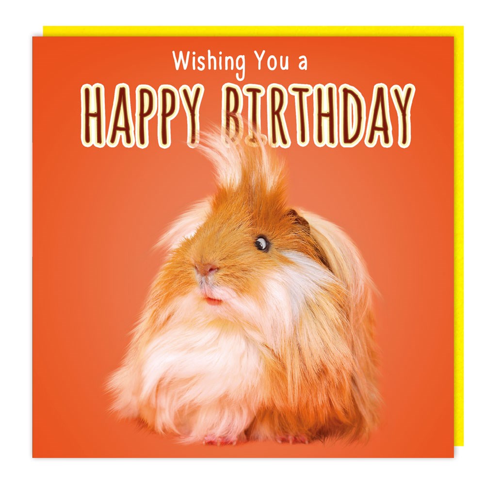 Guinea Pig Lenticular 3D Birthday Card