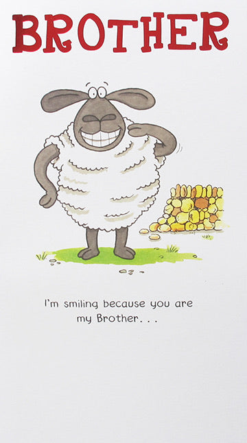 Brother Birthday Card